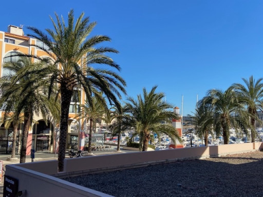 appartement vente Argelès-sur-mer