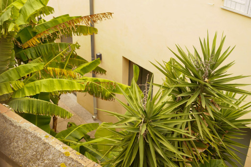 appartement vente Perpignan