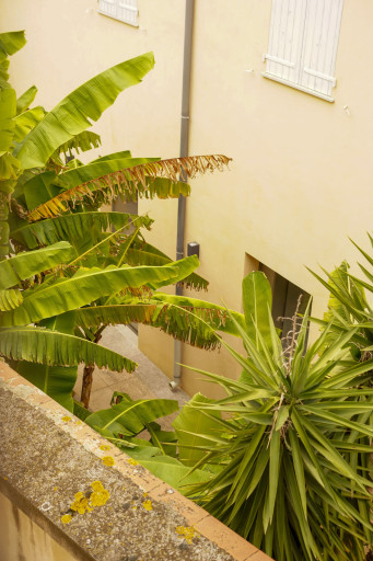 appartement vente Perpignan