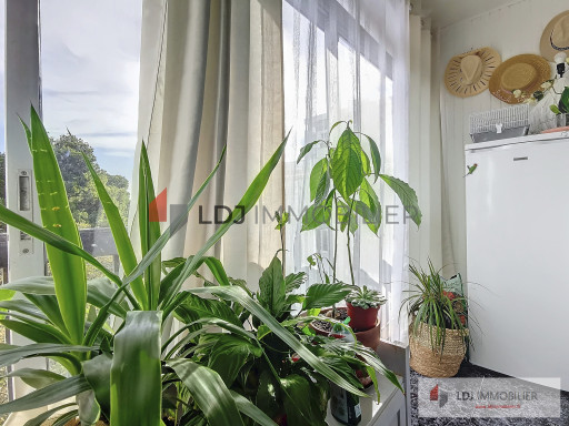 appartement vente Perpignan