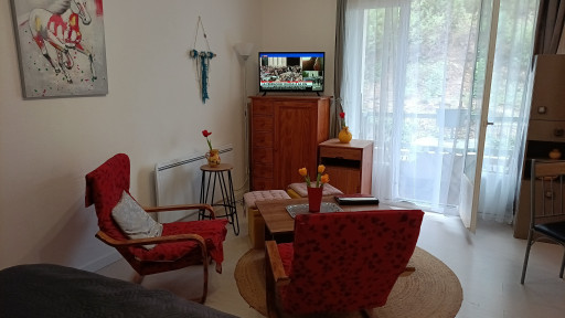 appartement vente Amélie-les-bains-palalda