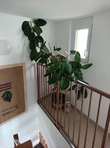 maisonvilla vente Le boulou