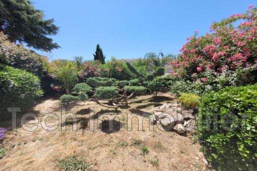 appartement vente Argelès-sur-mer