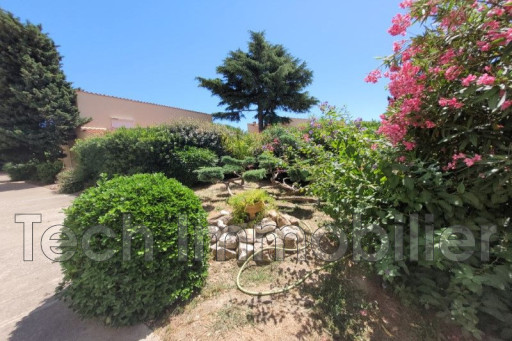 appartement vente Argelès-sur-mer