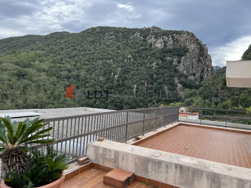 appartement vente Amélie-les-bains-palalda
