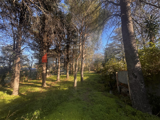 terrain vente Argelès-sur-mer