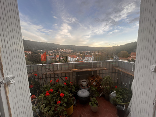 appartement vente Amélie-les-bains-palalda