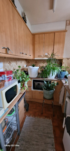 appartement vente Amélie-les-bains-palalda