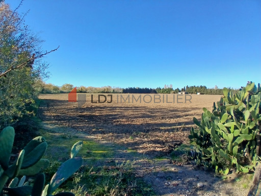 terrain vente Elne