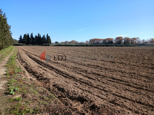terrain vente Elne