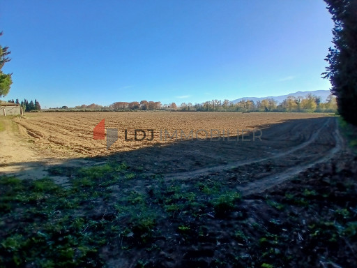 terrain vente Elne