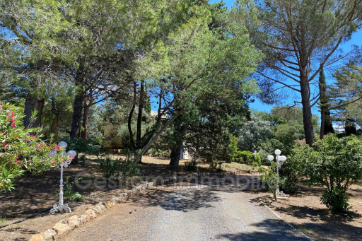 maisonvilla vente Thuir