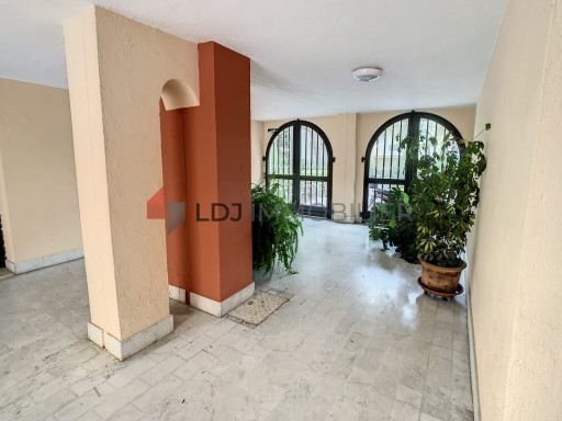 appartement vente Argelès-sur-mer