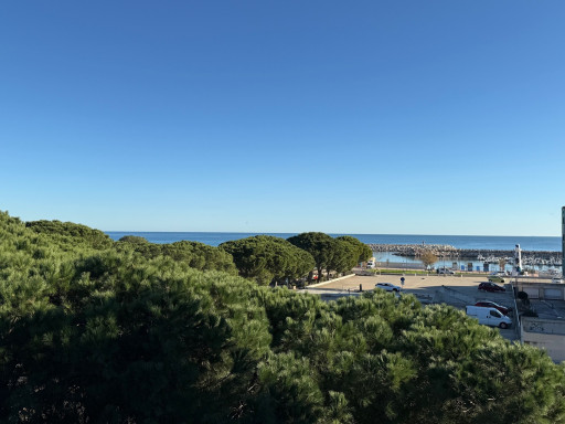 appartement vente Argelès-sur-mer