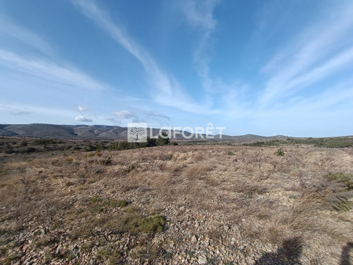terrain vente Opoul-périllos