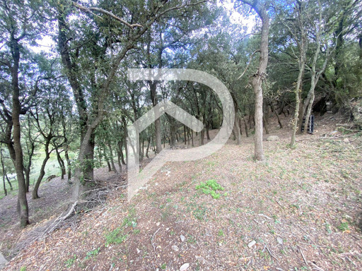 maisonvilla vente Caixas