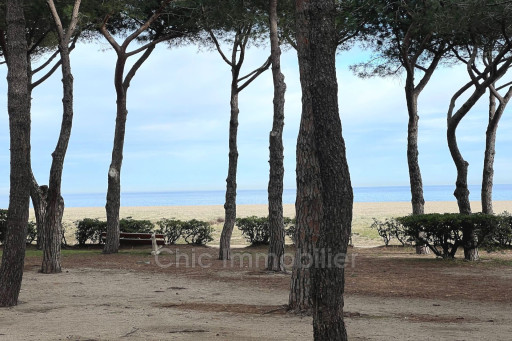 appartement vente Argelès-sur-mer