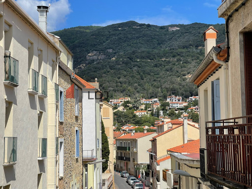 immeuble vente Amélie-les-bains-palalda