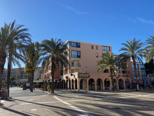appartement vente Argelès-sur-mer
