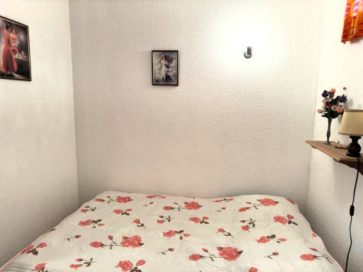 appartement vente Saint-cyprien
