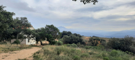 terrain vente Vivès