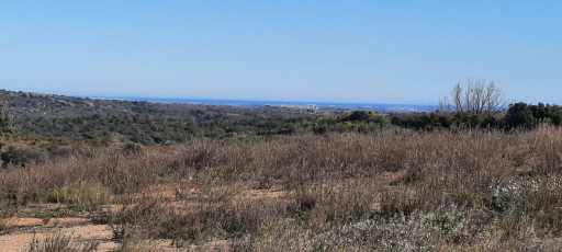 terrain vente Vivès