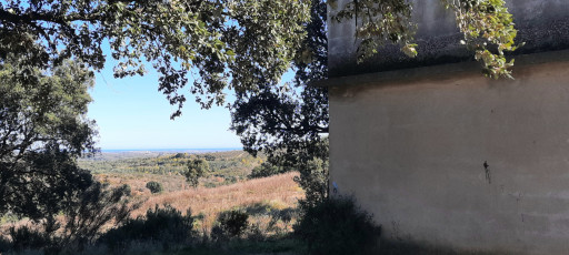 terrain vente Vivès
