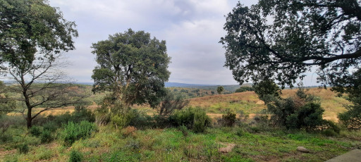 terrain vente Vivès