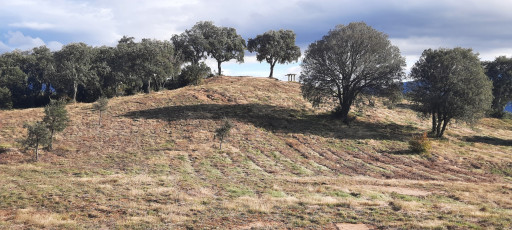 terrain vente Vivès