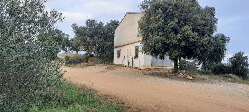 terrain vente Vivès
