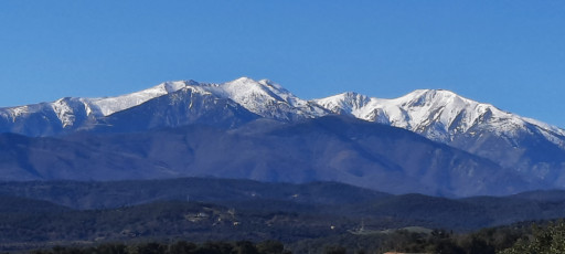 terrain vente Vivès