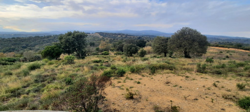 terrain vente Vivès