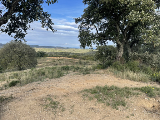 terrain vente Vivès