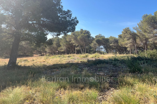 terrain vente Espira-de-l'agly