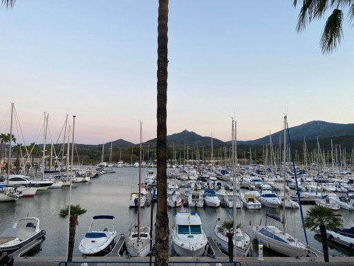 appartement vente Argelès-sur-mer