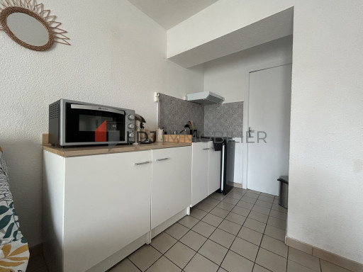 appartement à louer Amélie-les-bains-palalda