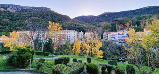 appartement vente Amélie-les-bains-palalda