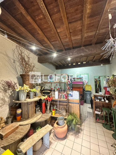 local vente Collioure