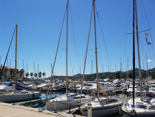 appartement location vacances Argeles plage