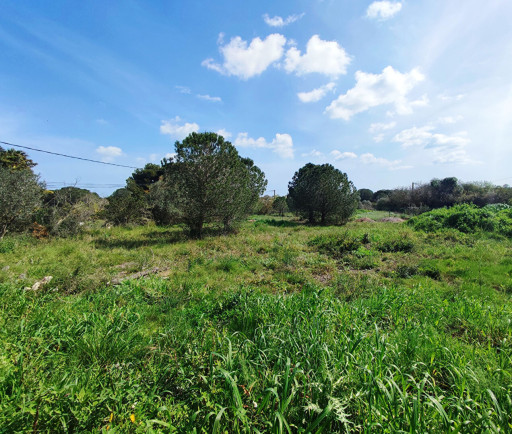 terrain vente Perpignan