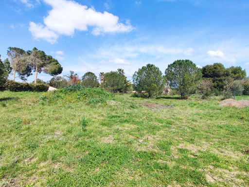 terrain vente Perpignan