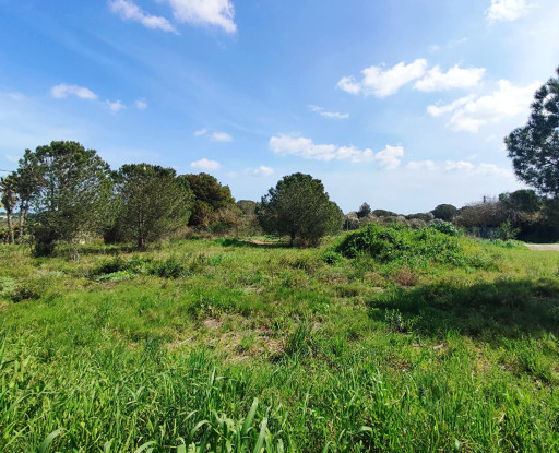 terrain vente Perpignan