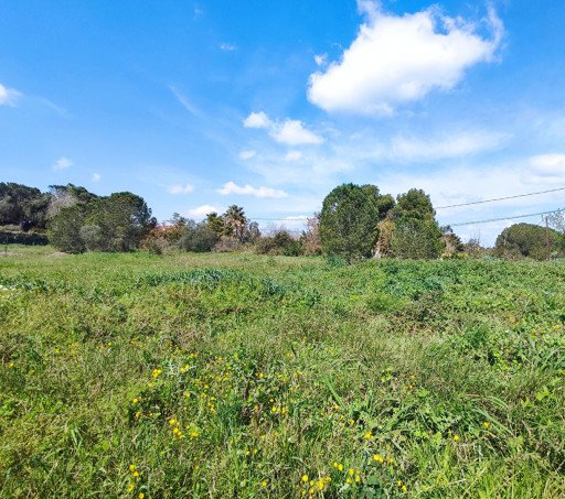terrain vente Perpignan