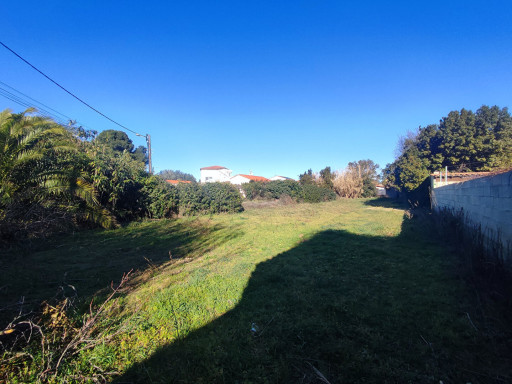 terrain vente Pézilla-la-rivière