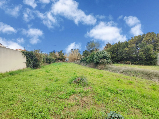 terrain vente Pézilla-la-rivière