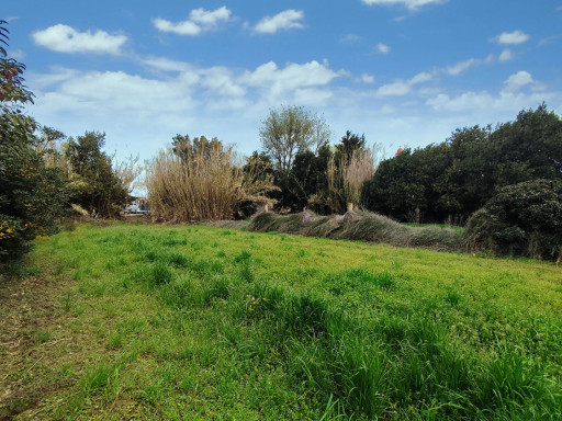 terrain vente Pézilla-la-rivière