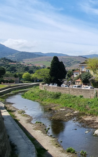 appartement vente Banyuls-sur-mer
