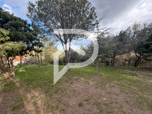 terrain vente Camélas