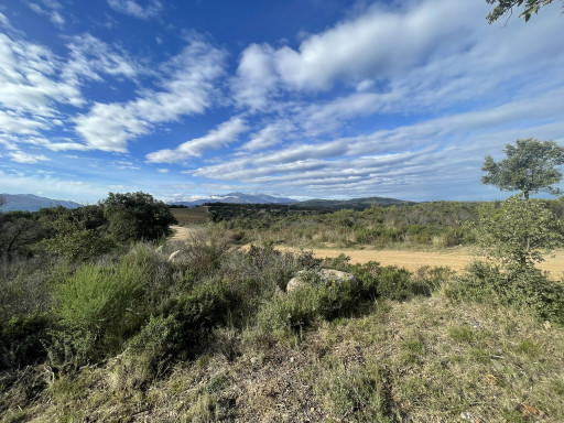 terrain vente Vivès