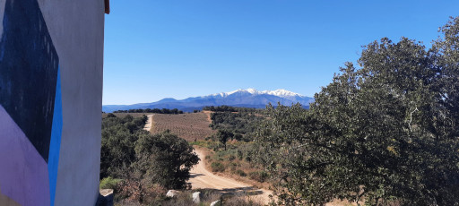 terrain vente Vivès